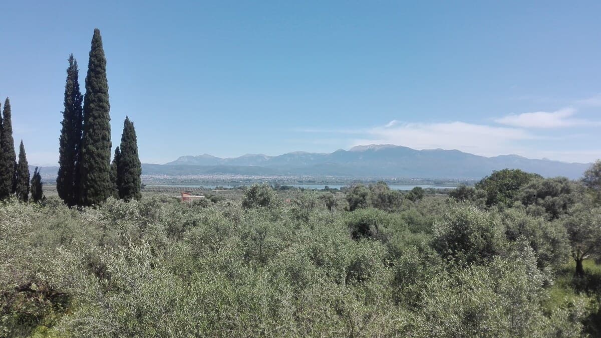 View from Kalyva Ourania \u2014 olive groves, cypress trees, and mountains over Lake Lysimachia